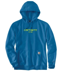 Carhartt Force Logo Kapuzensweatshirt